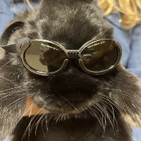 Laser Therapy Services